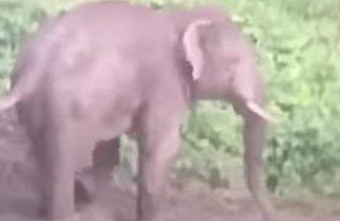 പിടി 7 /ഫയല് ചിത്രം