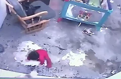 കുഞ്ഞിനെ അപകടത്തില് നിന്ന് രക്ഷിക്കുന്ന വളര്ത്തുപൂച്ചയുടെ ദൃശ്യം