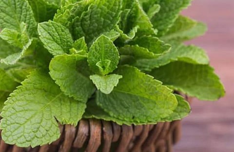 പ്രതീകാത്മക ചിത്രം