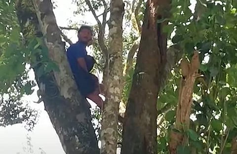 വനംവകുപ്പ് ഉദ്യോഗസ്ഥർക്കെതിരെ നടപടിയെടുക്കണമെന്നാവശ്യപ്പെട്ട് സരുൺ സജിയുടെ പ്രതിഷേധം, ഫയൽ