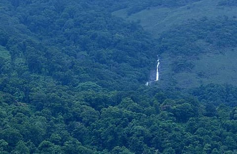 പശ്ചിമഘട്ടത്തിന്റെ അതിശയിപ്പിക്കുന്ന സൗന്ദര്യം/ ഫയൽ ചിത്രം