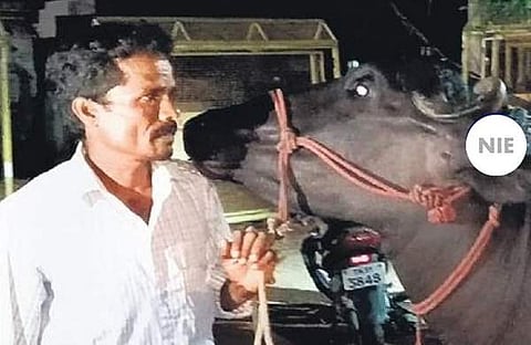 എരുമയും ഉടമയും പൊലീസ് സ്റ്റേഷനില്