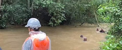 വീഡിയോ സ്ക്രീന്ഷോട്ട്