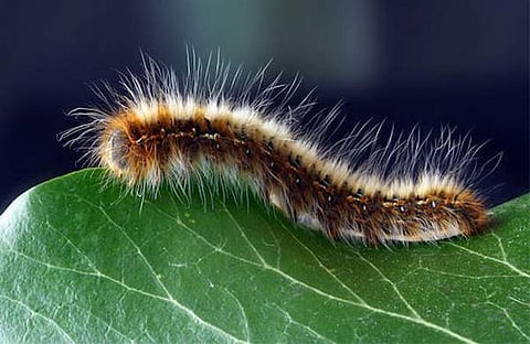 പ്രതീകാത്മക ചിത്രം