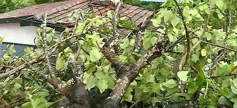 വീഡിയോ സ്ക്രീന്ഷോട്ട്