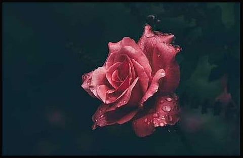 പ്രതീകാത്മക ചിത്രം