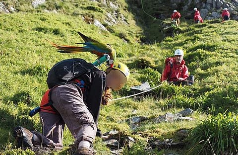 പാറക്കെട്ടിൽ കുടുങ്ങിപ്പോയ യുവതിയെ രക്ഷിക്കുന്നു/ ഫെയ്സ്ബുക്ക്