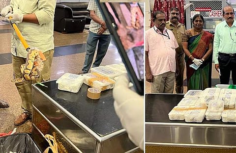 വിമാനത്താവളത്തില് വച്ച് പിടികൂടിയ പാമ്പുകള്