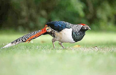 പ്രതീകാത്മക ചിത്രം