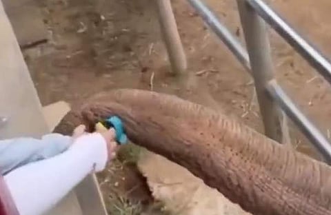 കുട്ടിക്ക് ഷൂ തിരികെ നല്കുന്ന ദൃശ്യം