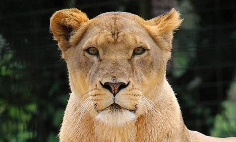 പ്രതീകാത്മക ചിത്രം