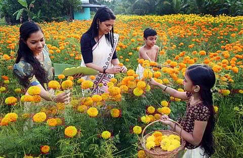 എക്സ്പ്രസ് ചിത്രം