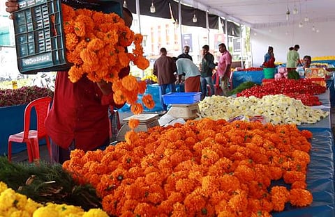 ചിത്രം: സൂരജ് ടി പി