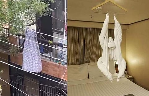 നൈറ്റി ഉണക്കാൻ ഇട്ടിരിക്കുന്നു, വിഡിയോ സ്ക്രീൻഷോട്ട്/ ടൗവൽ ഉപയോഗിച്ച് ഉണ്ടാക്കിയ ചിമ്പാൻസി, ട്വിറ്റർ