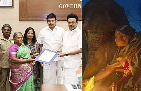 തമിഴ്നാട് മുഖ്യമന്ത്രി എംകെ സ്റ്റാലിൻ ബെല്ലിക്ക് നിയമന ഉത്തരവ് കൈമാറുന്നു/ ട്വിറ്റർ, ദി എലിഫന്റ് വിസ്പറേഴ്സ് പോസ്റ്റർ