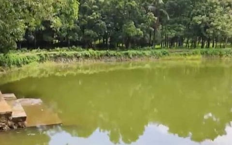 അപകടം നടന്ന കുളം/വീഡിയോ സ്ക്രീന്ഷോട്ട്