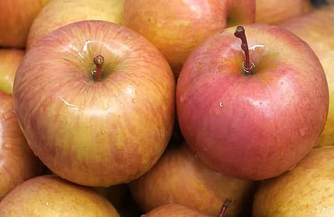 പ്രതീകാത്മക ചിത്രം