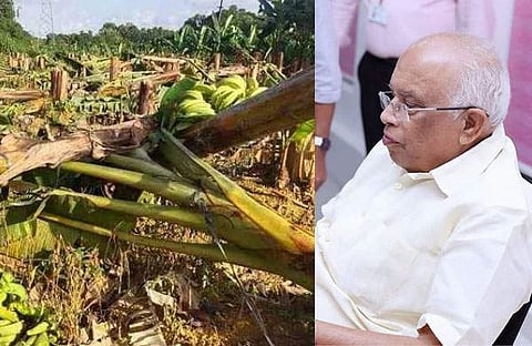ഉദ്യോഗസ്ഥര് വെട്ടി നശിപ്പിച്ച വാഴത്തോട്ട, മന്ത്രി കെ കൃഷ്ണന് കുട്ടി/ഫെയ്സ്ബുക്ക്