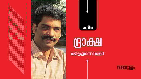 'ദ്രാക്ഷ'- ശ്രീകൃഷ്ണദാസ് മാത്തൂര് എഴുതിയ കവിത