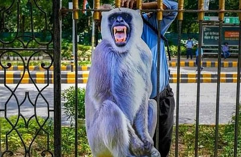 ഡൽഹി നഗരത്തിൽ സ്ഥാപിച്ച ലങ്കൂർ കുരങ്ങിന്റെ കട്ടൗട്ട്