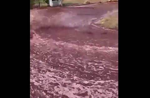 നിരത്തിലൂടെ വൈൻ ഒഴുകുന്ന ദൃശ്യം