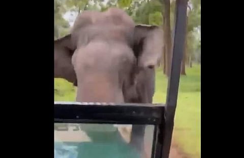 ജീപ്പിന് നേരെ പാഞ്ഞടുക്കുന്ന കാട്ടാനയുടെ ദൃശ്യം