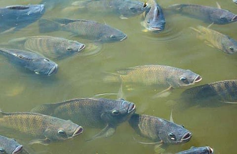 ഫയല് ചിത്രം/ എക്സ്