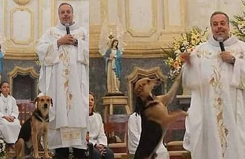 പള്ളിയിൽ കുർബാന കൂടുന്ന നായ/ എക്സ്