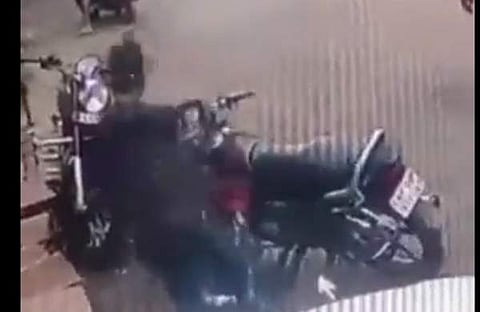 പാമ്പ് കടിയേറ്റതിന് പിന്നാലെ മറിഞ്ഞ് വീഴുന്ന യുവാവിന്റെ ദൃശ്യം