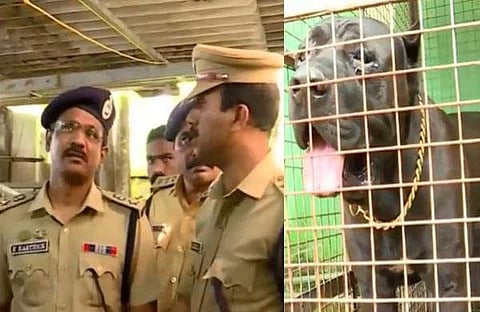 എസ്പി വീട്ടിൽ പരിശോധന നടത്തുന്നു/ ടിവി ദൃശ്യം