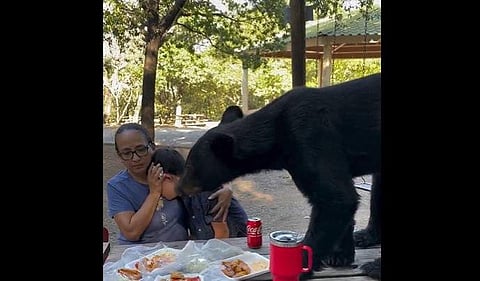 വീഡിയോ സ്ക്രീന്ഷോട്ട്
