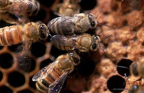 പ്രതീകാത്മക ചിത്രം