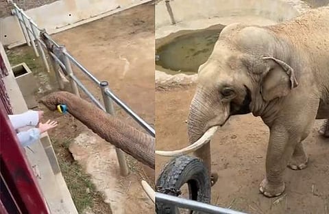 കുട്ടിക്ക് ഷൂ തിരികെ കൊടുന്നു/ വിഡിയോ സ്ക്രീൻഷോട്ട്