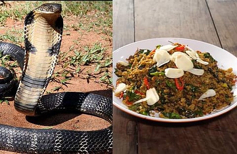 രാജവെമ്പാലയെ കറിവെച്ചത്/ വിഡിയോ സ്ക്രീൻഷോട്ട്