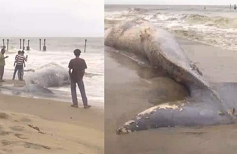 വിഡിയോ സ്ക്രീൻഷോട്ട്