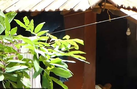 പട്ടാമ്പിയില് കുടുംബാംഗങ്ങളെ കുത്തിപ്പരിക്കേല്പ്പിച്ച സംഭവം നടന്ന വീട് , സ്ക്രീന്ഷോട്ട്