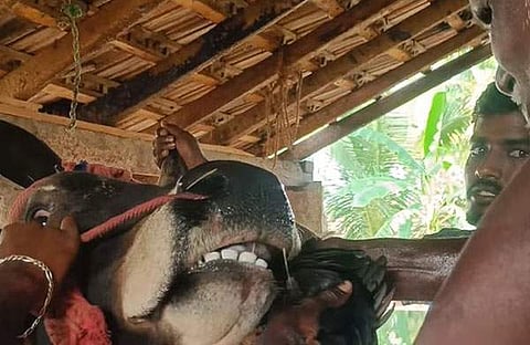 ചിത്രം /ഇന്സ്റ്റഗ്രാം