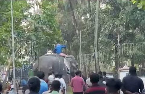 കുന്നംകുളത്ത് ആന ഇടഞ്ഞു/ ടെലിവിഷൻ സ്ക്രീൻഷോട്ട്