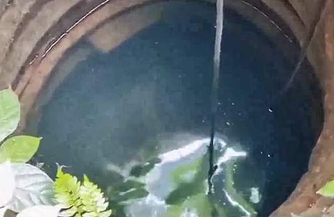 കിണറ്റിൽ വിഷം കലർത്തി/ ടെലിവിഷൻ സ്ക്രീൻഷോട്ട്