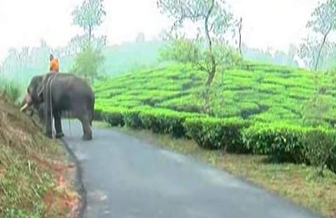 കോഴിക്കോട്- ഗൂഡല്ലൂർ ദേശീയപാത, സ്ക്രീൻഷോട്ട്