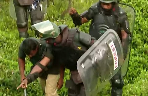 മയക്കുവെടിയേറ്റെന്ന് കരുതുന്ന പുലിക്കായുള്ള തിരച്ചിൽ, സ്ക്രീൻഷോട്ട്