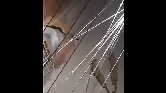 ഒന്നിനെ മാത്രം പേടിച്ചാല്‍ പോരാ!, തെരുവില്‍ മൂന്ന് പുലികള്‍; വൈറല്‍ വീഡിയോ 
