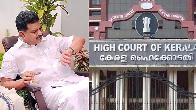 പിവി അൻവറിന്റെ പാർക്കിനു ലൈസൻസുണ്ടോ? സർക്കാരിനോട് ഹൈക്കോടതി