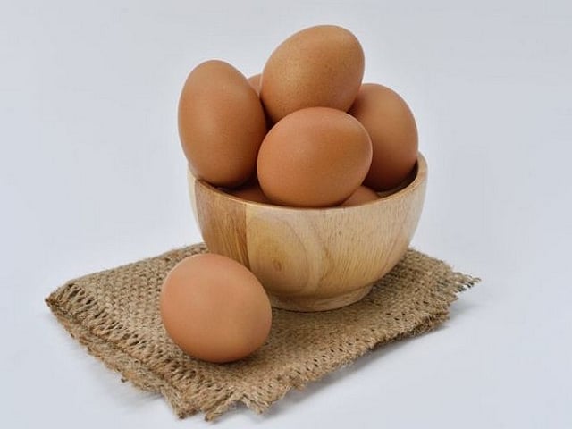 protien rich diet