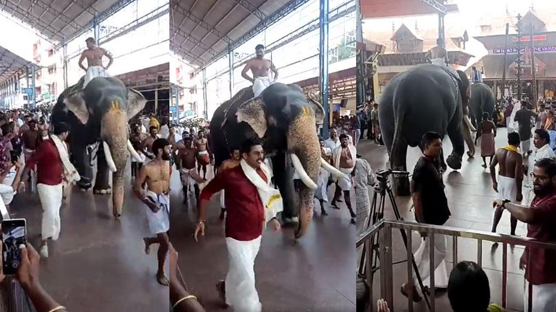 ഗുരുവായൂർ ആനയോട്ടം; ഗോപീ കണ്ണൻ ഒന്നാമത്