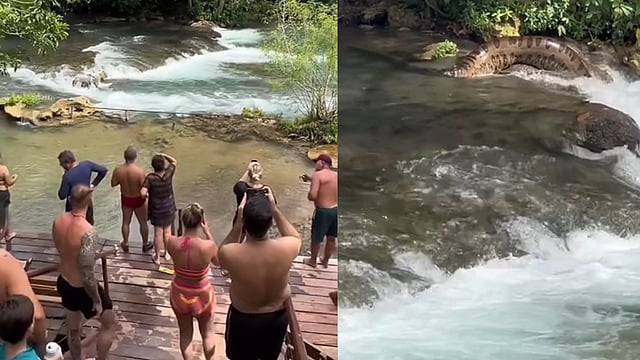 സ്വിമ്മിങ് വേഷം ധരിച്ച് സഞ്ചാരികള്‍; പുഴയില്‍ കൂറ്റന്‍ അനാക്കോണ്ട, പരിഭ്രാന്തി- വീഡിയോ 