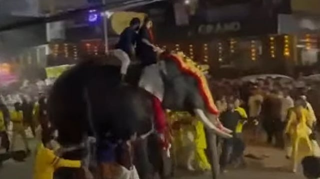 പാപ്പാൻ ചായകുടിക്കാൻ വണ്ടി നിർത്തി; ആന ലോറിയിൽ നിന്ന് ഇറങ്ങി വിരണ്ടോടി; ഒരാൾക്ക് ചവിട്ടേറ്റു