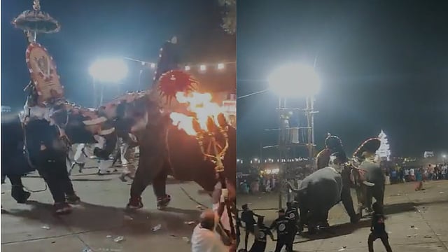 ആറാട്ടുപുഴ ക്ഷേത്രത്തില്‍ ആനകളിടഞ്ഞു, കൊമ്പുകോര്‍ത്ത് കൊമ്പന്‍മാര്‍; കണ്ടുനിന്നവര്‍ ചിതറിയോടി, ഒരാള്‍ തലനാരിഴയ്ക്ക് രക്ഷപ്പെട്ടു- വീഡിയോ