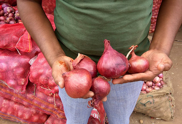 Onion