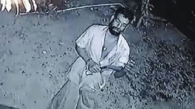 mango theft